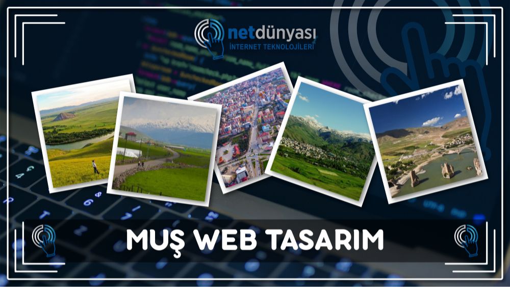 Muş Web Tasarım