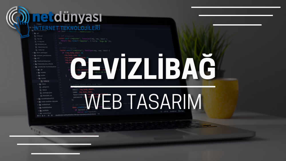 Cevizlibağ Web Tasarım