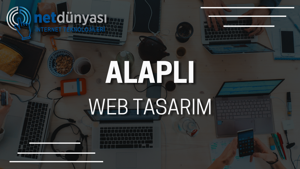 Alaplı Web Tasarım